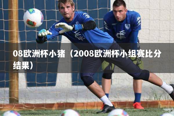 08欧洲杯小猪（2008欧洲杯小组赛比分结果）