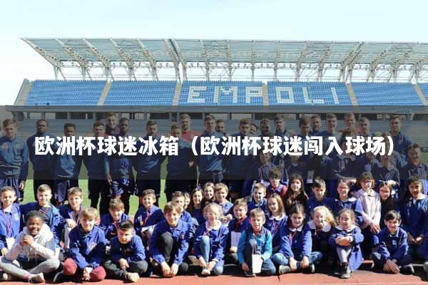 欧洲杯球迷冰箱（欧洲杯球迷闯入球场）
